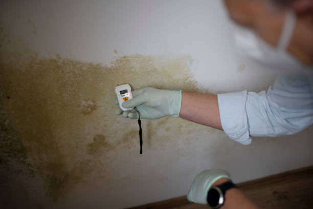 Certified Mold Removal in Douglasville, GA