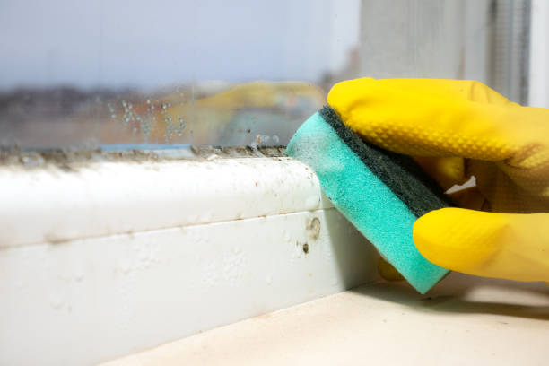 Best Mold Testing  in Douglasville, GA